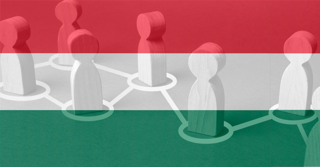 The Hungarian flag over a graphic of wooden figures connected by a network of lines.