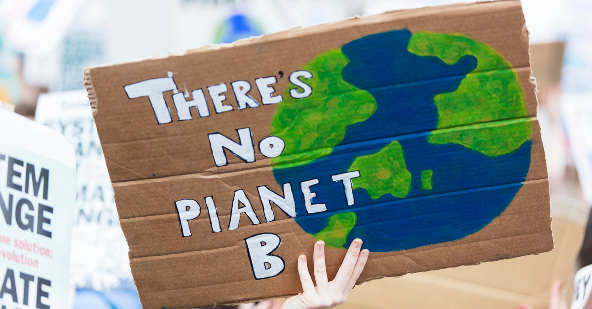 Climate protest sign saying 'There is no planet B'