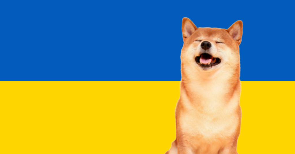 Shiba Inu dog against Ukrainian flag