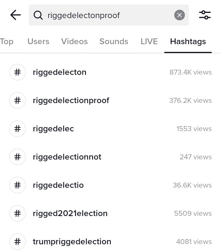 Various misspellings of "rigged election", including the correct spelling of "rigged election proof" found on TikTok.