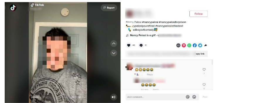 Figure 1: Example of a TikTok video featuring sexual content in the audio targeting Nancy Pelosi.