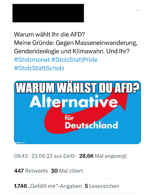 Figure 17: The tweet features an image showing the official logo of the AfD and a question in the foreground asking, “Why do you vote for the AfD?” The tweet states: “Why do you vote for the AfD? My reasons: against mass immigration, gender ideology and climate craze. And you? #Stolzmonat #stolzstattpride #stolzstattscholz”